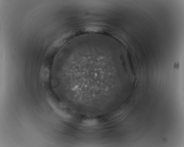 X0000113370551200909221226