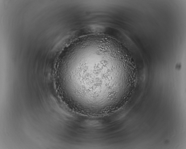 X0000113370553200909221226