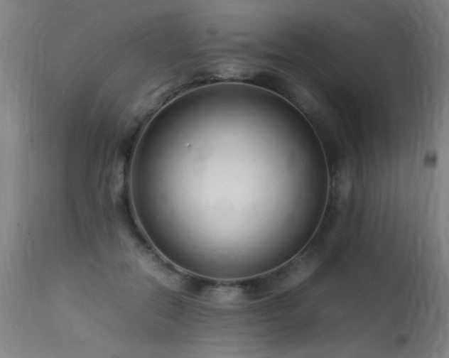X0000113370554200909221226