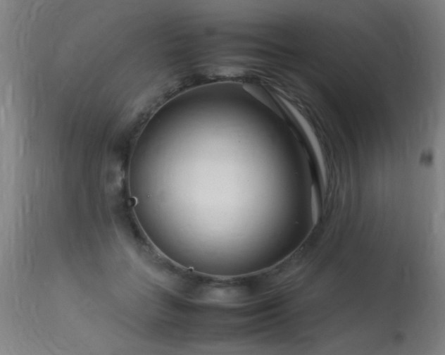 X0000113370555200909221226