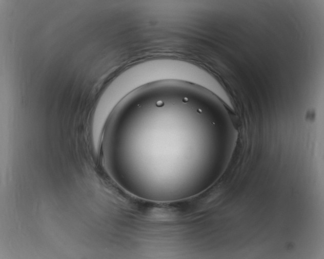 X0000113370556200909221226