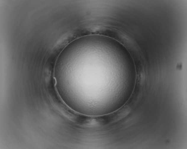 X0000113370558200909221226