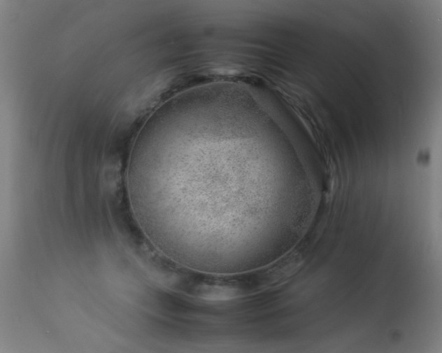 X0000113370559200909221226
