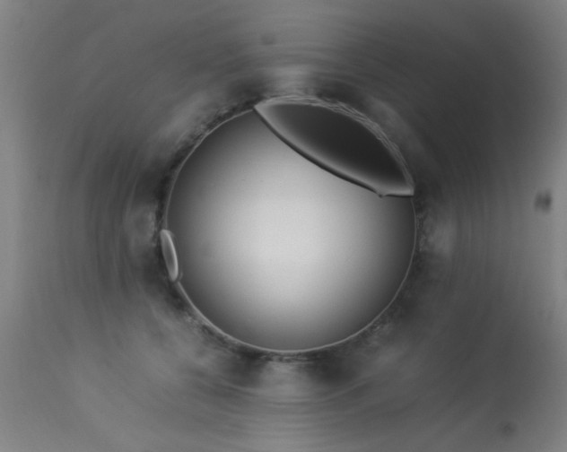 X0000113370560200909221226