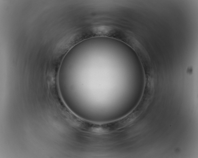 X0000113370561200909221226