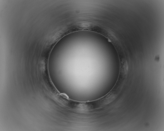 X0000113370562200909221226