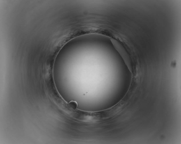 X0000113370563200909221226