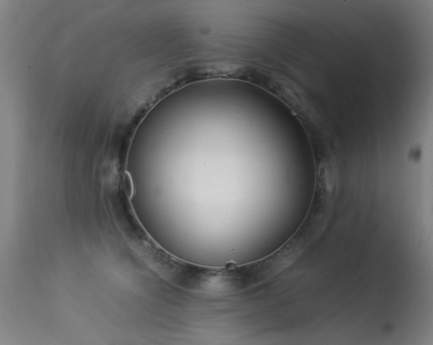 X0000113370564200909221226