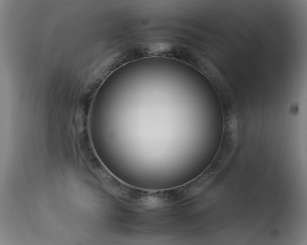 X0000113370565200909221226