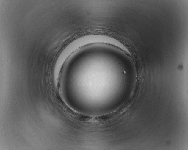 X0000113370566200909221226