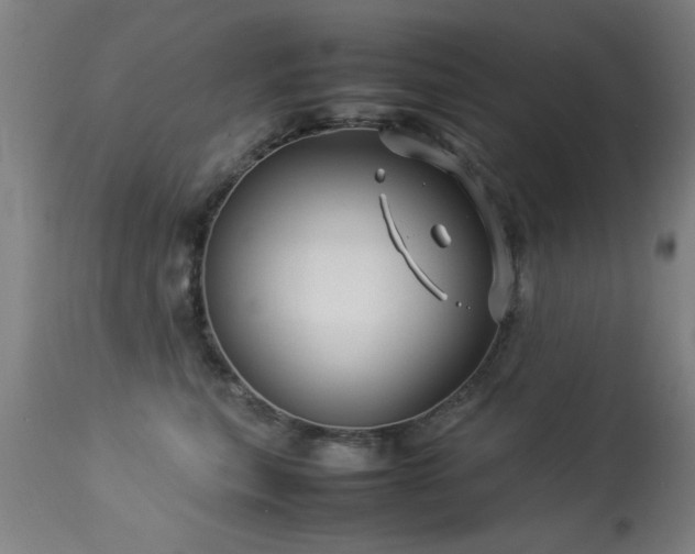 X0000113370567200909221226