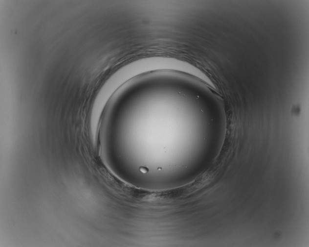 X0000113370568200909221226