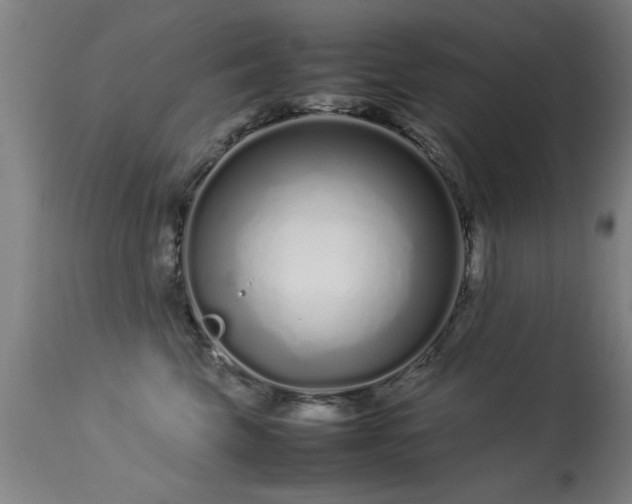 X0000113370569200909221226