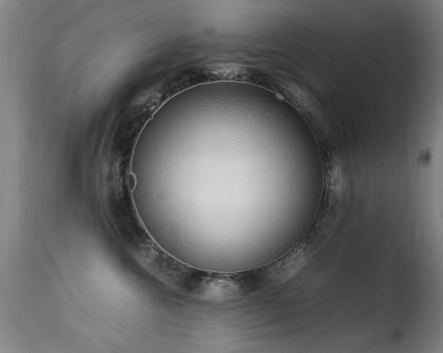 X0000113370572200909221226