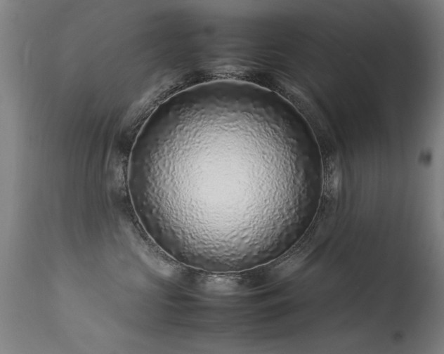 X0000113370573200909221226