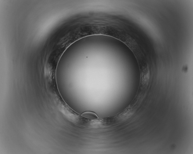 X0000113370574200909221226