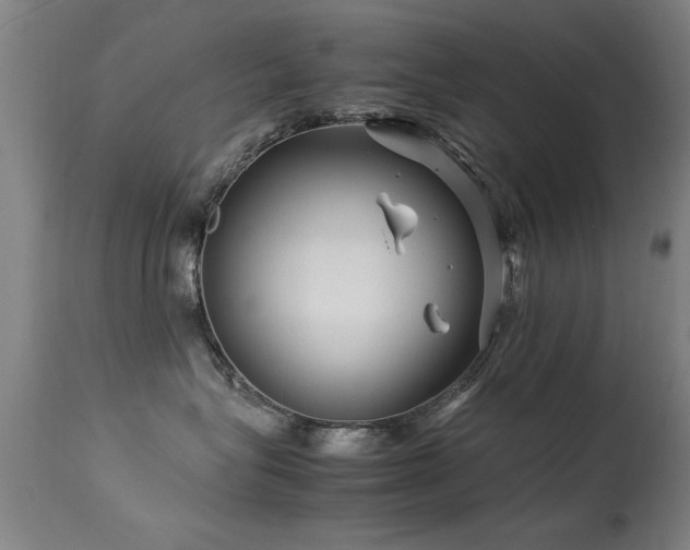 X0000113370575200909221226