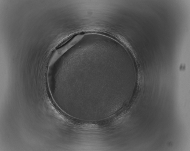 X0000113370577200909221225