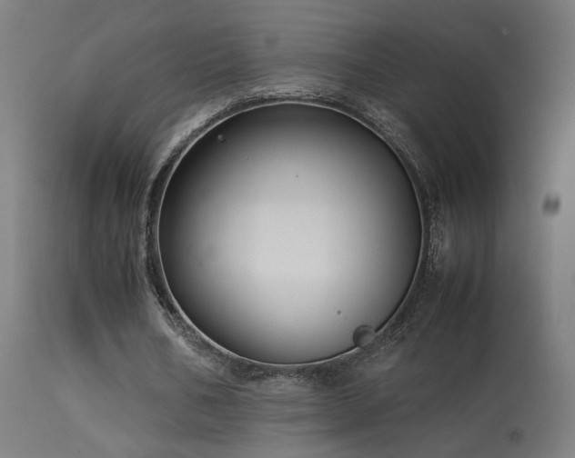 X0000113370578200909221225