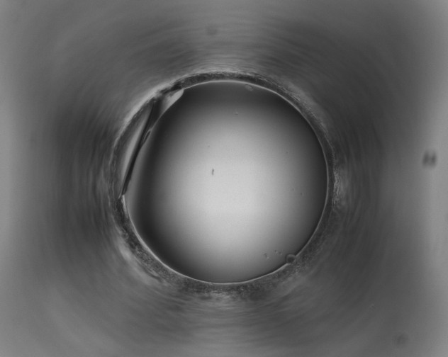 X0000113370580200909221225