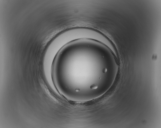 X0000113370581200909221225
