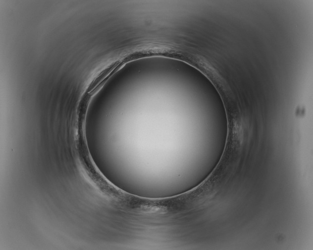 X0000113370582200909221225
