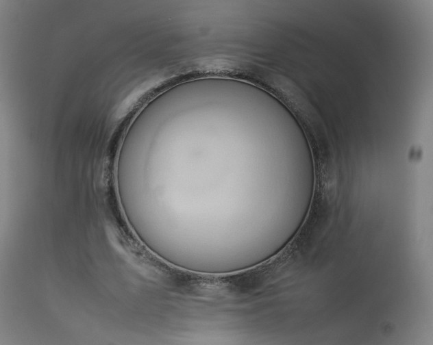 X0000113370583200909221225