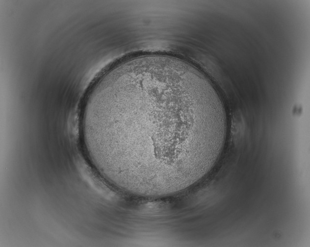 X0000113370584200909221225