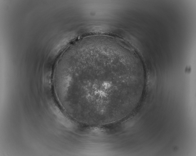 X0000113370585200909221225