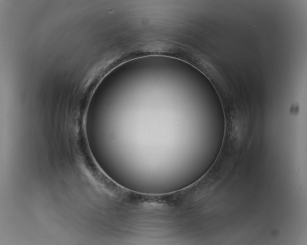 X0000113370586200909221225