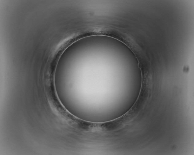 X0000113370587200909221225
