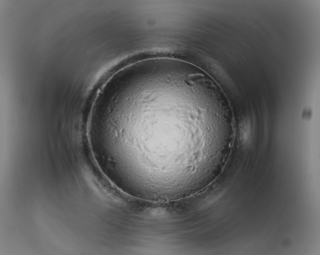 X0000113370588200909221225