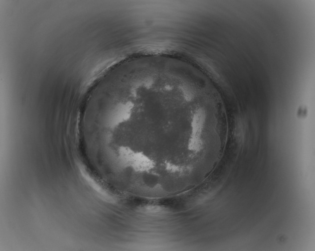 X0000113370590200909221225