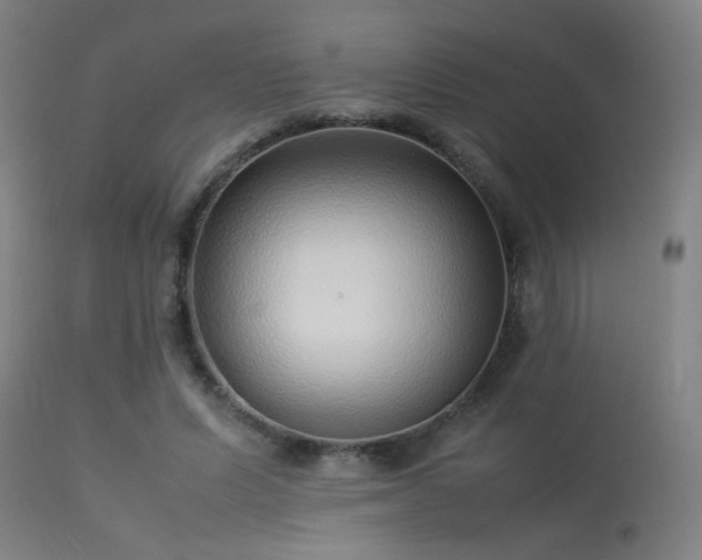 X0000113370591200909221225