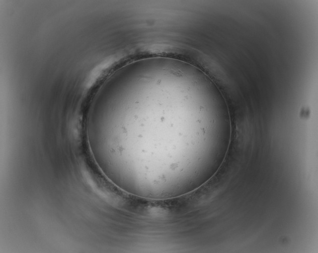 X0000113370592200909221225
