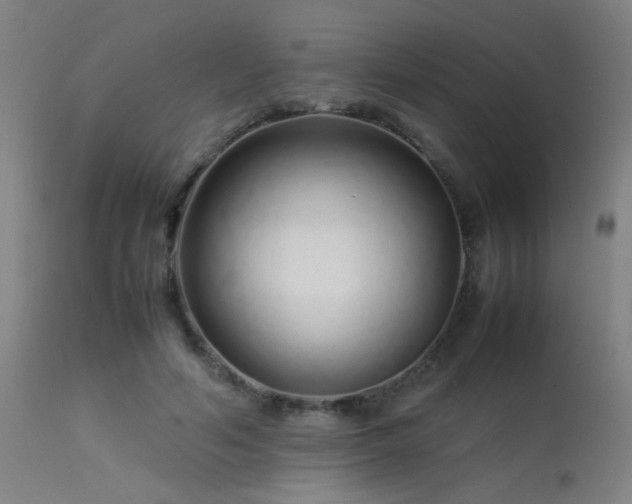 X0000113370594200909221225