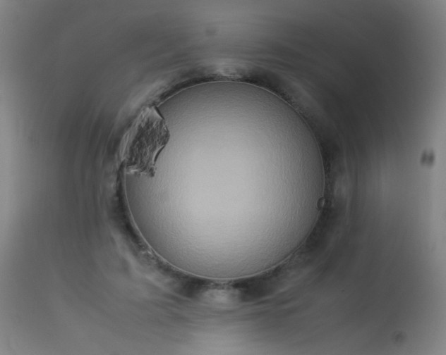 X0000113370595200909221225