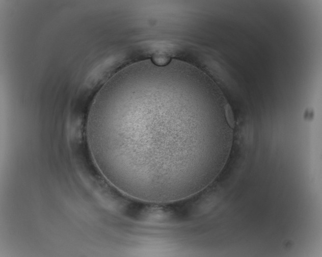 X0000113370597200909221225