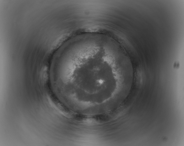 X0000113370598200909221225