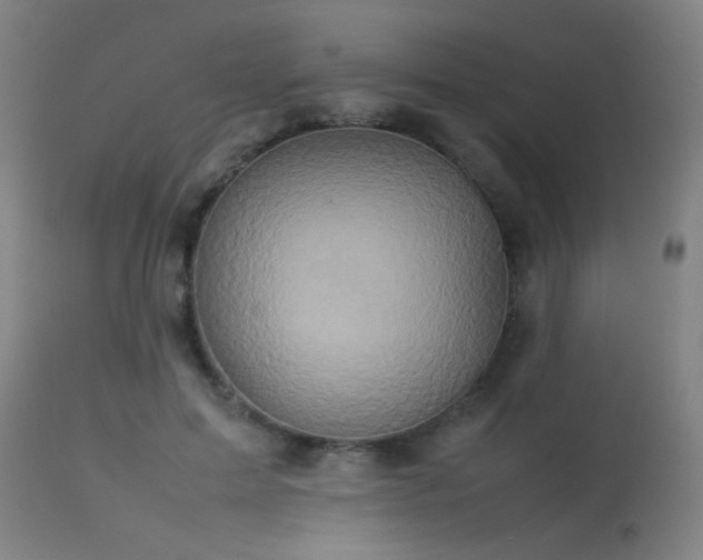X0000113370599200909221225