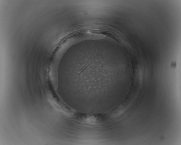 X0000113370600200909221225