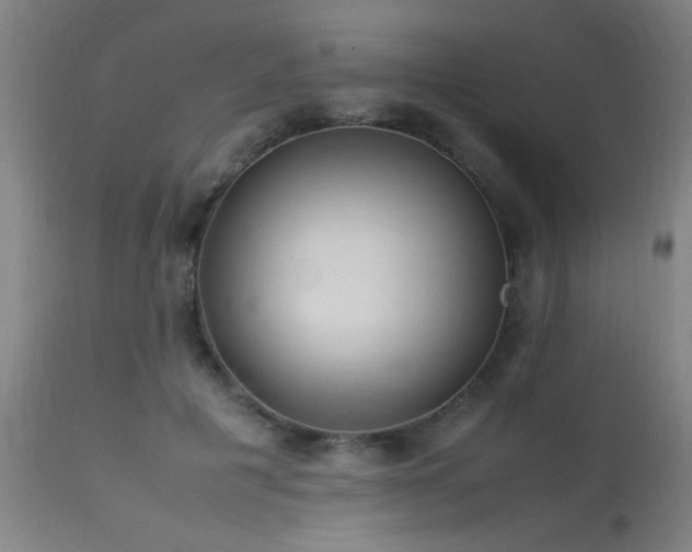 X0000113370601200909221225