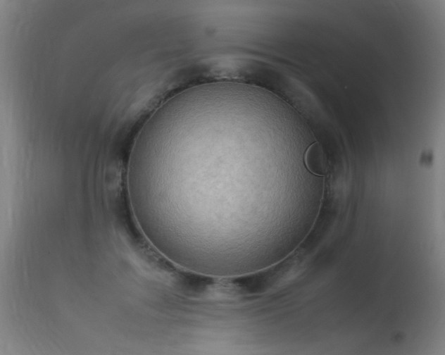 X0000113370603200909221225