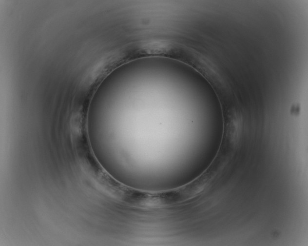 X0000113370604200909221225