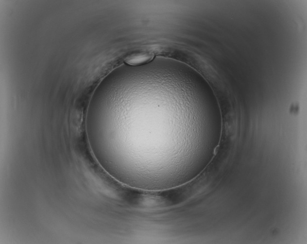 X0000113370605200909221225