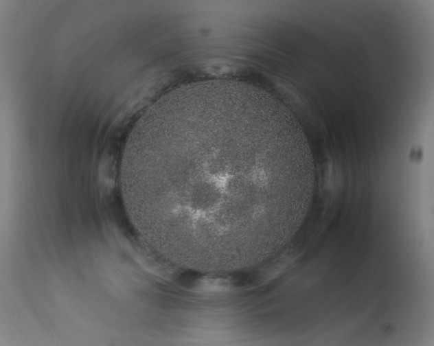 X0000113370606200909221225