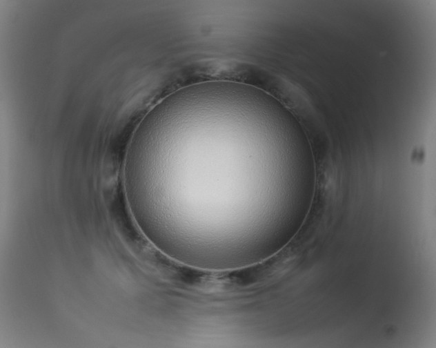 X0000113370607200909221225