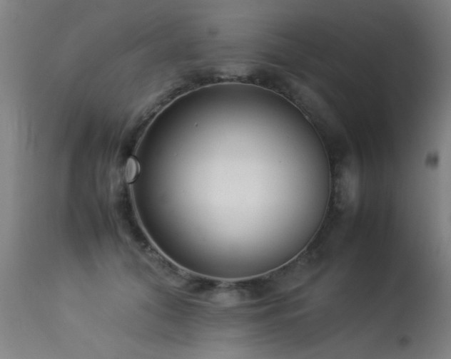 X0000113370608200909221225