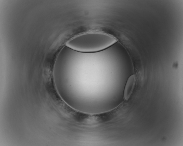 X0000113370609200909221225