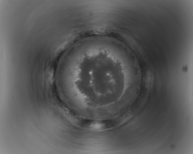 X0000113370610200909221225